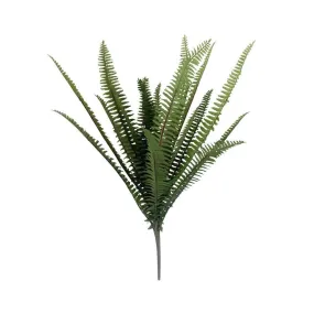 Fern Spray Short